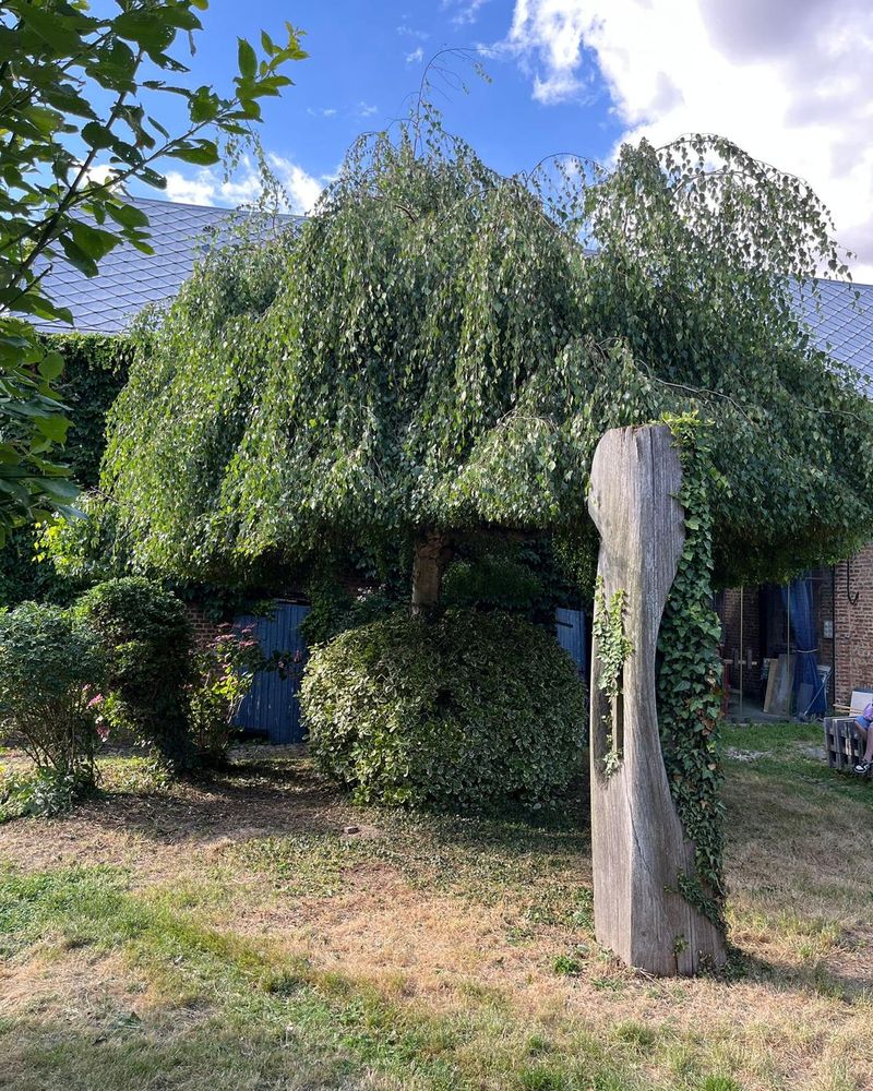 Le saule et un pilier de pierre dans le jardin des Granges
